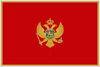 National flag icon