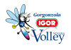 Logo for Igor Gorgonzola NOVARA