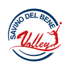 Logo for Savino Del Bene SCANDICCI