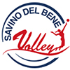 Logo for Savino Del Bene SCANDICCI